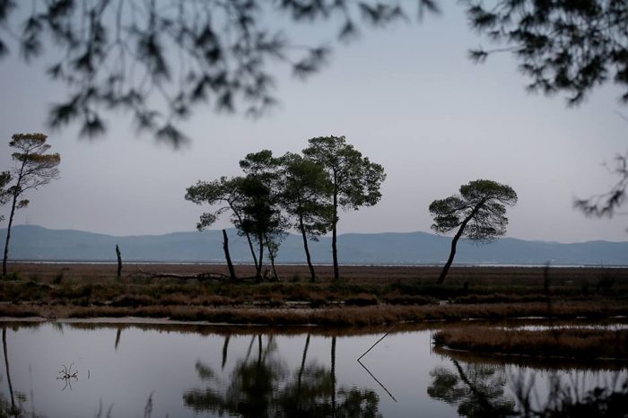 FOTO/Një mrekulli shqiptare e natyrës, që ishte drejt zhdukjes